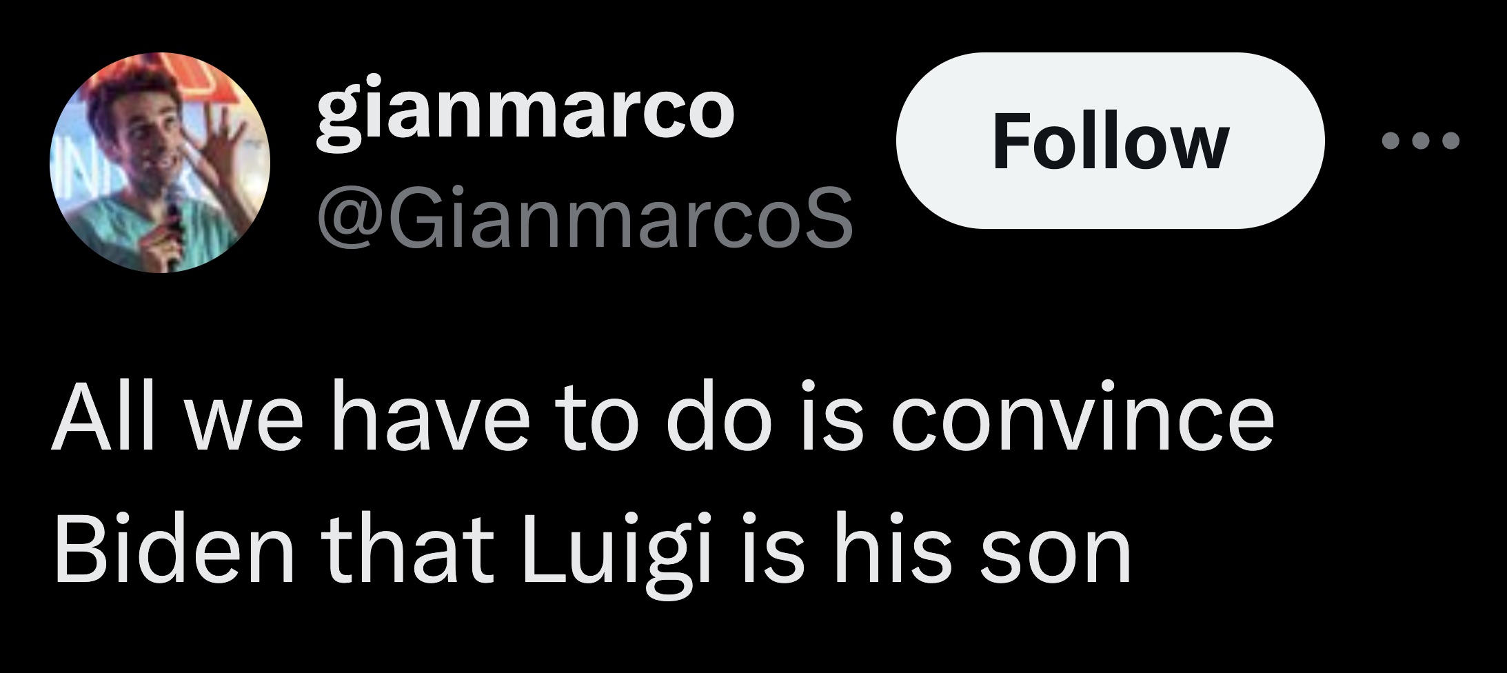 screenshot - N gianmarco All we have to do is convince Biden that Luigi is his son